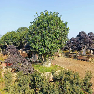 ���\������o���۹��򳣾G�������ֱ�l�@�־��^���ͳ��G����