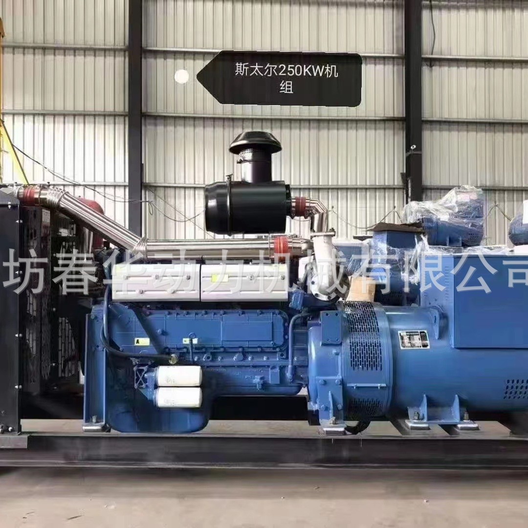潍柴250KW柴油发电机组 酒店旅馆用潍柴发电机 配手动切换柜
