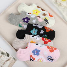 ¿n濨ͨmŮɐϵeٴWzŵm