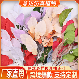 ���������~��c����̖���m�~�廨�����~��c�ٻ����ɭϵ��Y�b�
