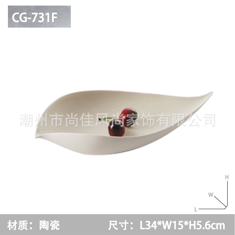 CG-731F