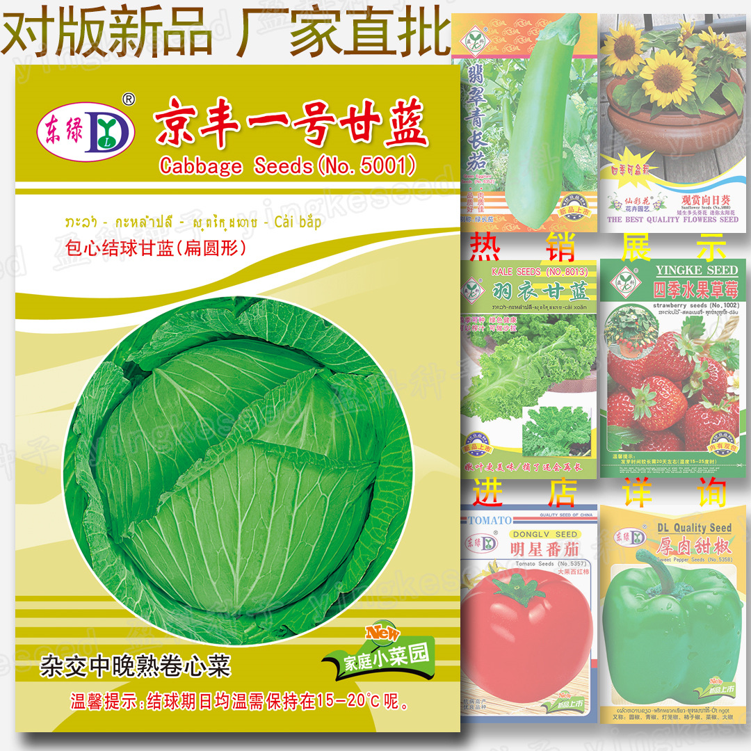 About 300 Jingfeng No. 1 Cabbage Seeds, Flat Cabbage, Cabbage, Coconut Cabbage, Cabbage Vegetable Seeds Wholesale