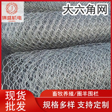 ��\���ǾW ����ܵ������F�z�W ������Ȧ��Q���W �B��W�F�z�W