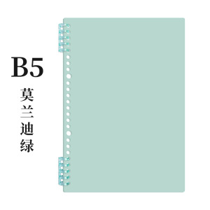 B5 쉘/모란디 그린