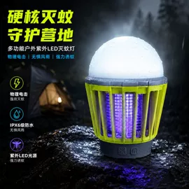 野营/露营灯;电子灭蚊器;气体检测仪