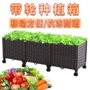 家庭组合户外塑料菜盆