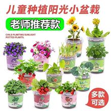 ���b��ͯ�NֲС����ֲ��W���^��Gֲ�N�Ӻ���DIY�����҃�ֲ��