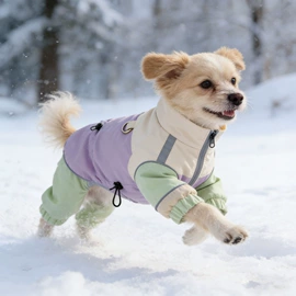 狗狗服装;宠物绝育服/生理裤;狗狗包、箱