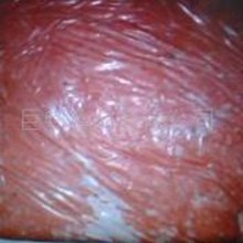 ������x����������ʳ�t�������r��