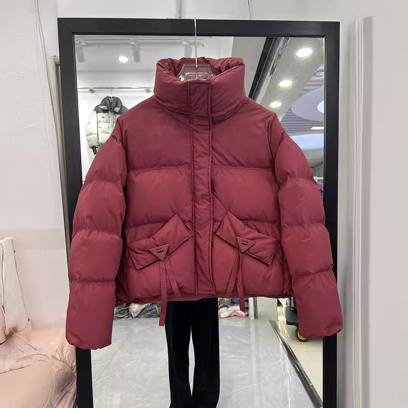 Winter New Style Vertical Collar Down Jacket Women's Short Casual Fashion Thickened Small Bread Clothing White Duck Down Jacket Trendy