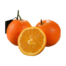 �ؑc���{Ě�Ȯ���ˮ���r�ȳ����������]���r����Ě��һ�����l