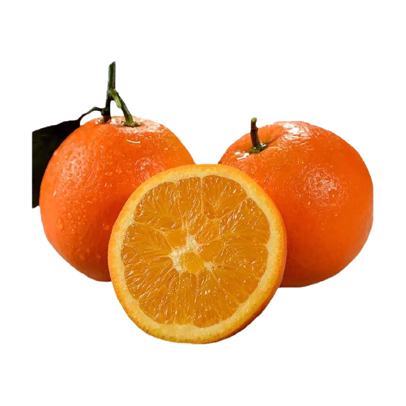 High Mountain Navel Oranges, Seasonal Fresh Oranges, Whole Oranges with Free Shipping, Fresh Oranges, Navel Oranges, One-Piece Drop Shipping High Mountain Navel Oranges, Seasonal Fresh Oranges, Whole Oranges with Free Shipping, Fresh Oranges, Navel Oranges, One-Piece Drop Shipping