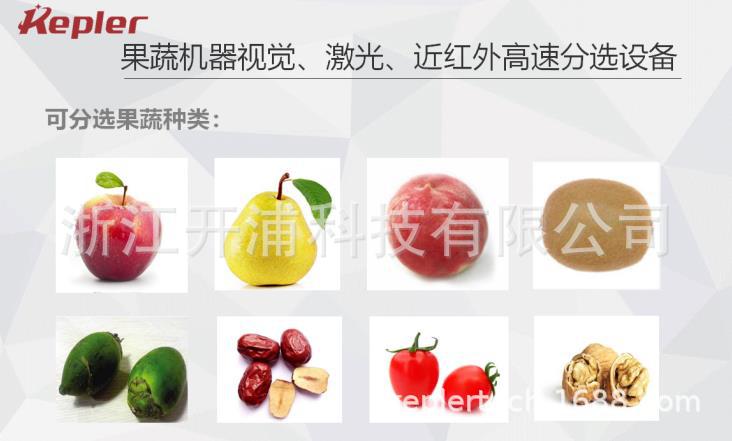 紅棗智能分選機(jī)12