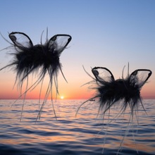 n|¿cСëAﶬlnϵ߼߅A