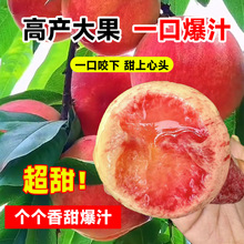 ����ˮ���Ҙ���޽Ӯ���Y���S�Ҙ����Ϸ������Nֲ�����Ҙ�ˮ����