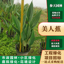 �ؑc�F���Ĵ�ˮ�����˽���ˮ�����˽�С��ˮ�����˽�����ˮ����