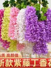 �������ٻ����㻨�ٻ����_�m��픻����҃Ȼ�c���^���b��ٗl