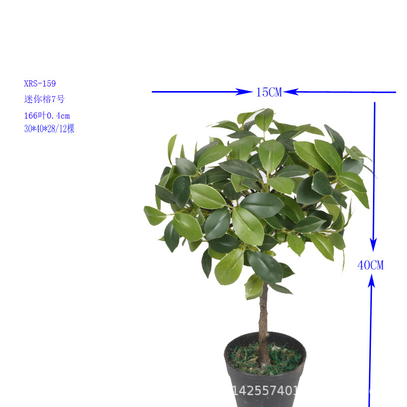 XRS-159 迷你榕叶7号盆栽166叶.jpg