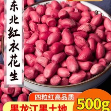 2024东北红衣生花生米500g黑龙江四粒红花生仁新鲜红皮不带壳米仁