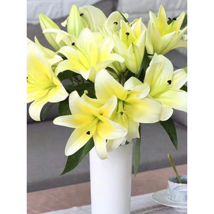 Perfume Lily Multi-Headed Flower Bouquet Yunnan Kunji Freshly Picked Straight Hair Water-Raised Flowers Real Flowers Yunnan