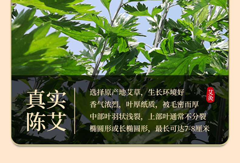 Aged Moxa Wool Ai Rong 60:1 Ratio 500g Loose Artemisia Argyi Floss for Moxibustion and Warm Therapy key features