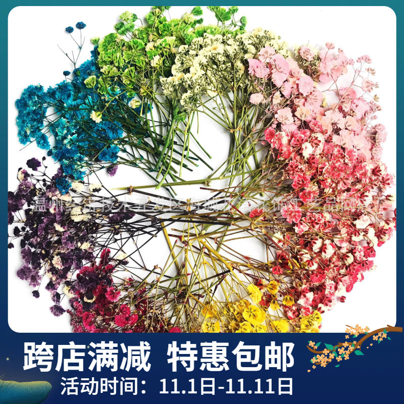 满天星小满押花植物标本DIY手工滴胶干花手机壳押花相框压花材料