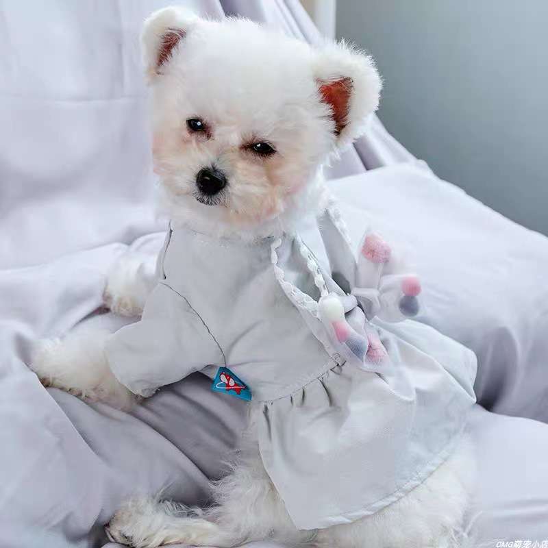 灰色萌えウサギ