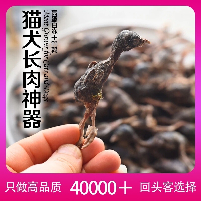 Freeze-Dried Quail Cat Snacks for Weight Gain, Raw Bone Meat, Dog Hamster Snacks Gift Pack, Teeth Grinding Calcium Supplement Cat Food