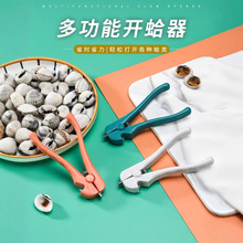 lP䓶๦_ÊAѪѪQëAؐA