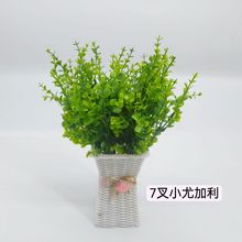 ����С�ȼ����Gɫ��������ֲ��Gֲ�����b�35Ŀ���X�ݷ���ֲ��