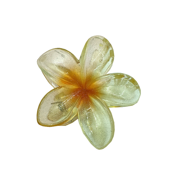 国境を越えたアマゾンの卵の花がグラデーションの花のキャンディー色の紫荊花の後頭部をつかんでサメの花を挟んで髪を伸ばします。|undefined