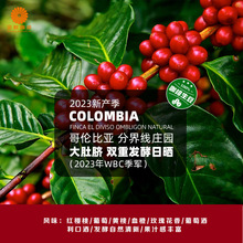 哥伦比亚分界线庄园大肚脐双重发酵日晒精品咖啡生豆2024新产季