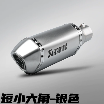 Motorcycle Modified Exhaust Pipe Imitation Racing Street Bike Small Hexagonal Scorpio Exhaust Stainless Steel Competition Tail Section 51mm Universal (Motorcycle exhaust pipe) - 300mm-short-style-small-hexagon-silver