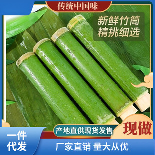 Pure Green Handmade Bamboo Tube Rice Dumpling Mold for Home and Commercial Use in Night Market Stalls to Make Fresh Bamboo Tubes and Glutinous Rice