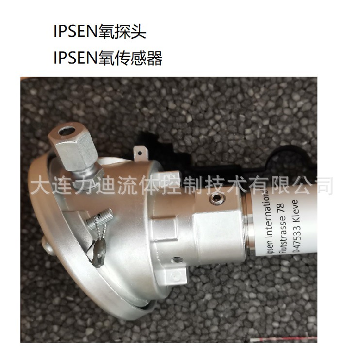 德国IPSEN 氧探头KB-100408-A
