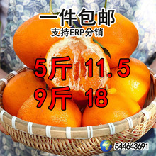 �Ĵ���Ҋ�ҰҸ̕r����4.5�������r�Fժˮ���������ڳ����������