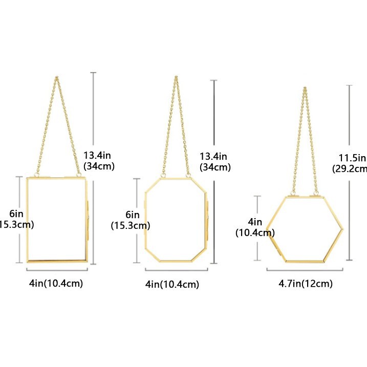 Three-piece set of gold hanging brass glass hanging wall decoration plant specimen photo display transparent storage frame Three-piece set of gold hanging brass glass hanging wall decoration plant specimen photo display transparent storage frame