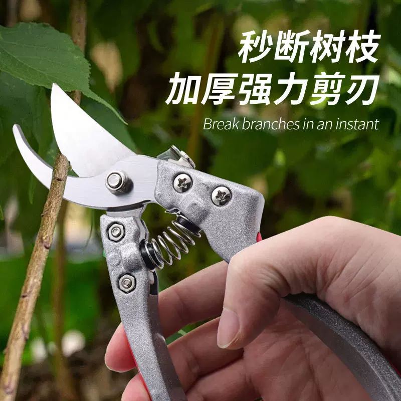 不锈钢修枝剪刀葡萄修树枝剪园艺园林专用橘子家用摘果剪工具批发