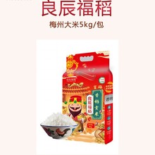 �������� ������ؕ����