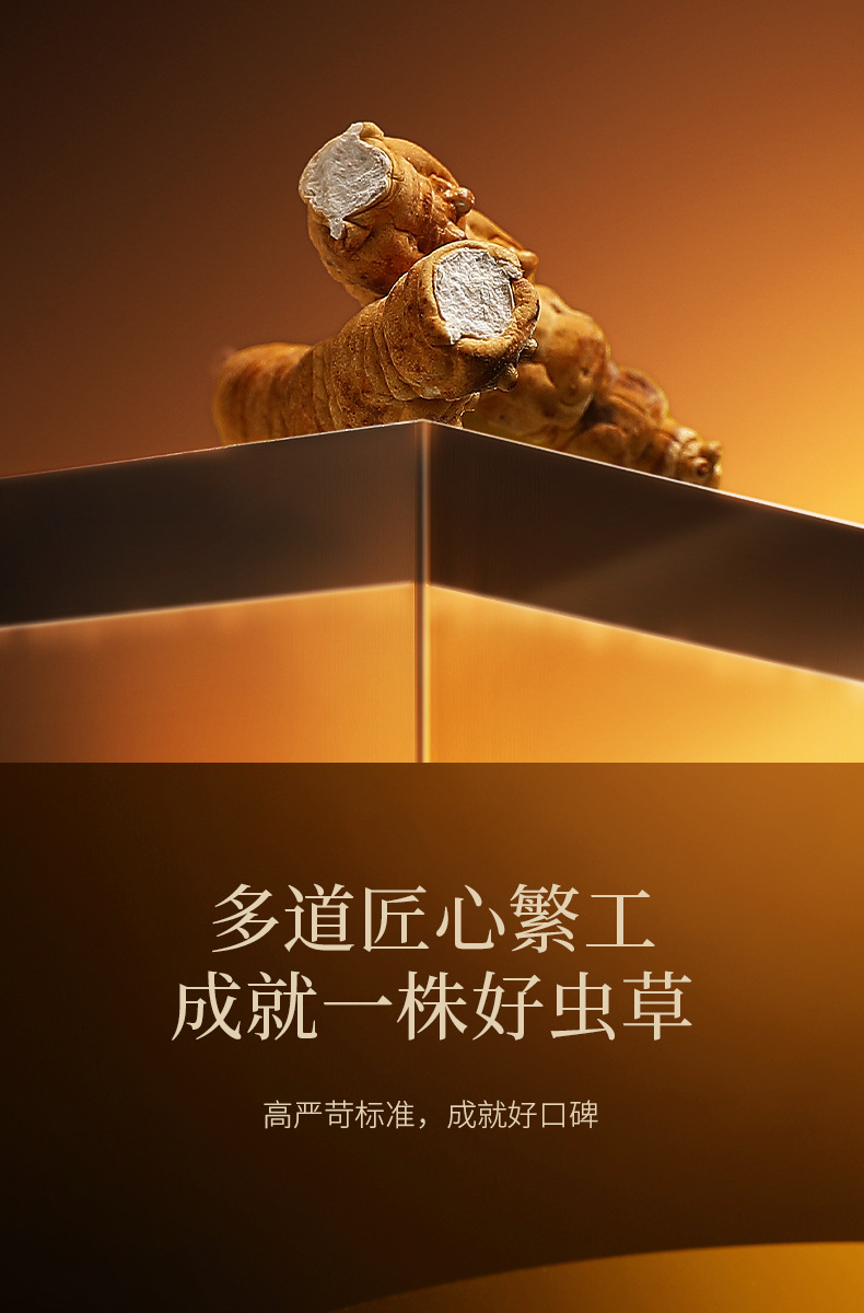Premium Cordyceps Gift Box Dong Chong Xia Cao 5g Wild-Harvested Qinghai Origin Whole Stems quality and texture