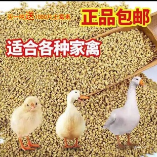 �S�����l����С�u����r�u����u����u���Z��ϰ˸��w��