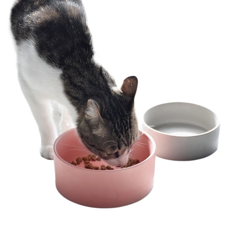 猫碗猫咪陶瓷碗狗狗水碗双碗碗架保护颈椎宠物猫粮碗猫食盆防打翻|undefined
