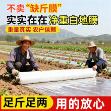 ذĤ߲ɫĤ͸ϱĤĤNֲ÷NĤ