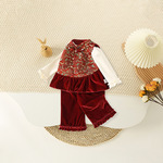 春季新款童装女童套装  国风儿童洋气生日拜年丝绒礼服百搭套装