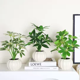 仿真盆栽;仿真绿植;植物工艺品