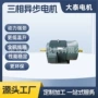大泰山东全铜交流电机