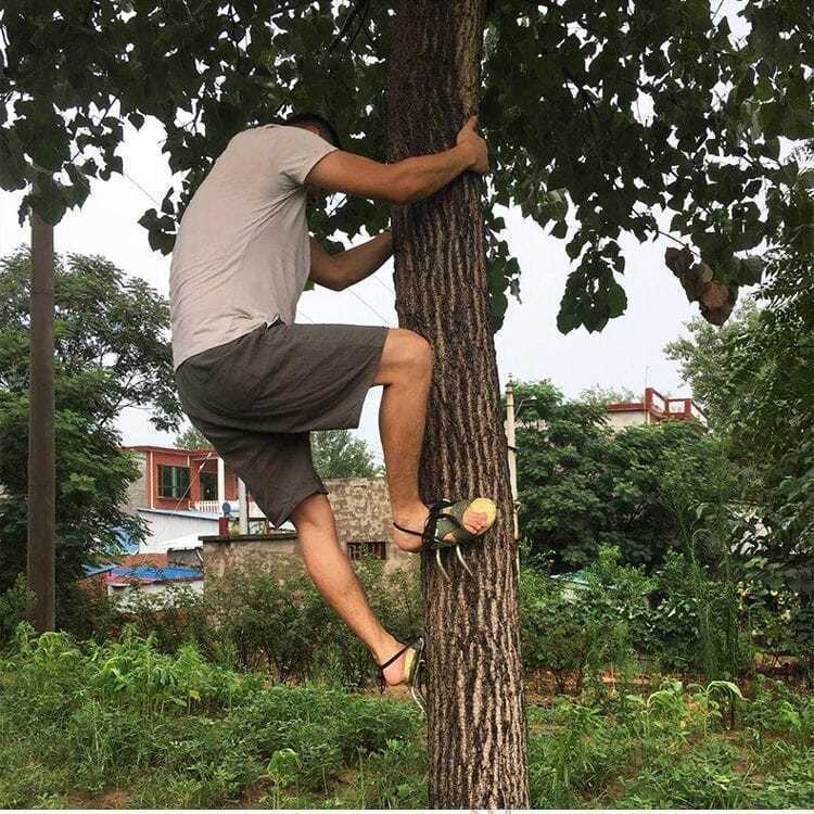 d84f0cb3-1ad5-489e-911c-ba247908da27.jpe