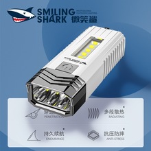 ���Ͳ����ɳ��ʽ�����h��܇�AС�������y��������led�����