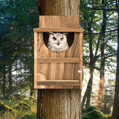 国境を越えた新しい製品フクロウハウス屋外吊り下げスクリーミングフクロウハウス木製屋外鳥の巣