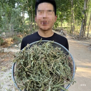 ��܇ǰ�ݡ����܇ǰ�Ӳ�Ұ��܇݆�ݎ��뎧�����w܇ǰ��؛��؛